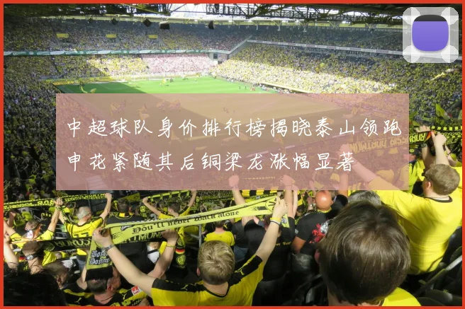 中超球队身价排行榜揭晓泰山领跑申花紧随其后铜梁龙涨幅显著